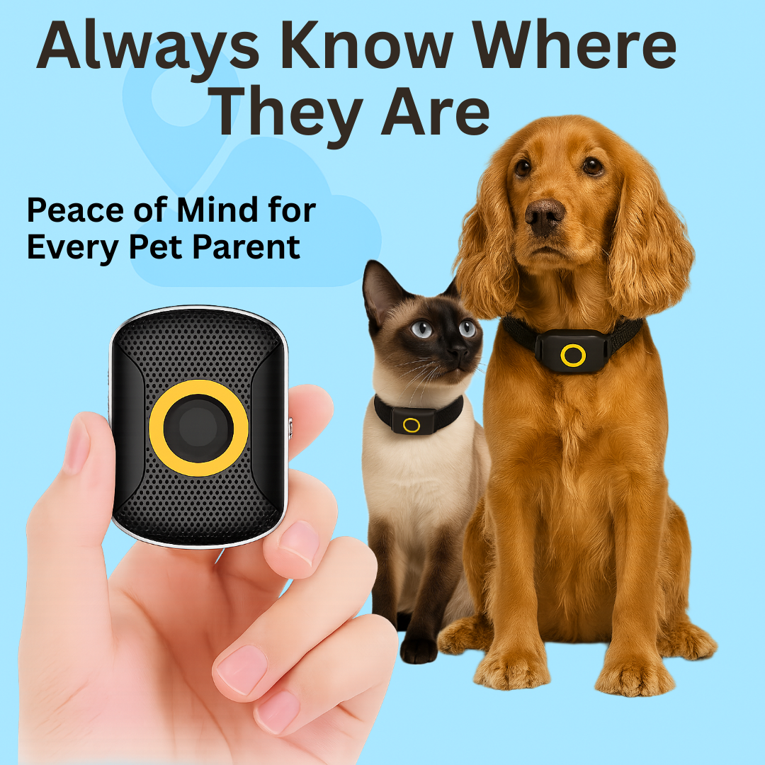 GPS Tracker Collar for Dogs & Cats – Real-Time Location & Safe-Zone Alerts