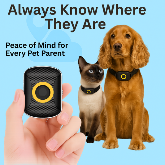 GPS Tracker Collar for Dogs & Cats – Real-Time Location & Safe-Zone Alerts