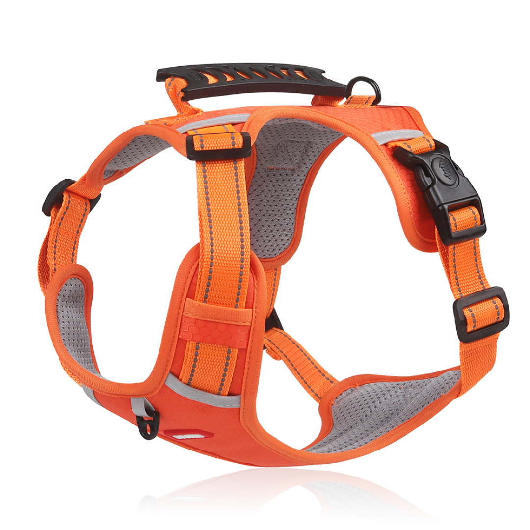 Reflective Dog Harness – No-Pull, Adjustable & Breathable