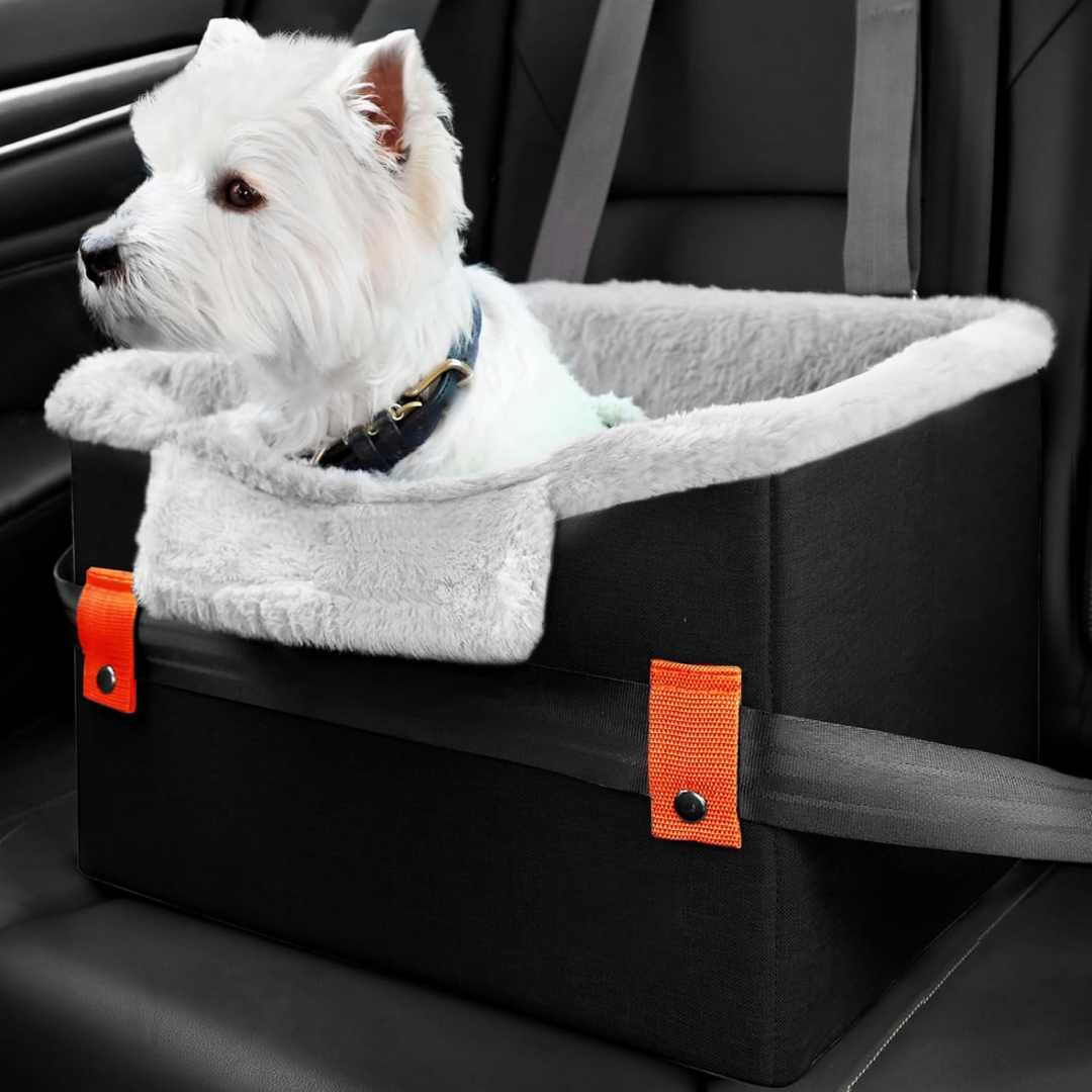 Portable Pet Travel Booster Seat with Safety Leash