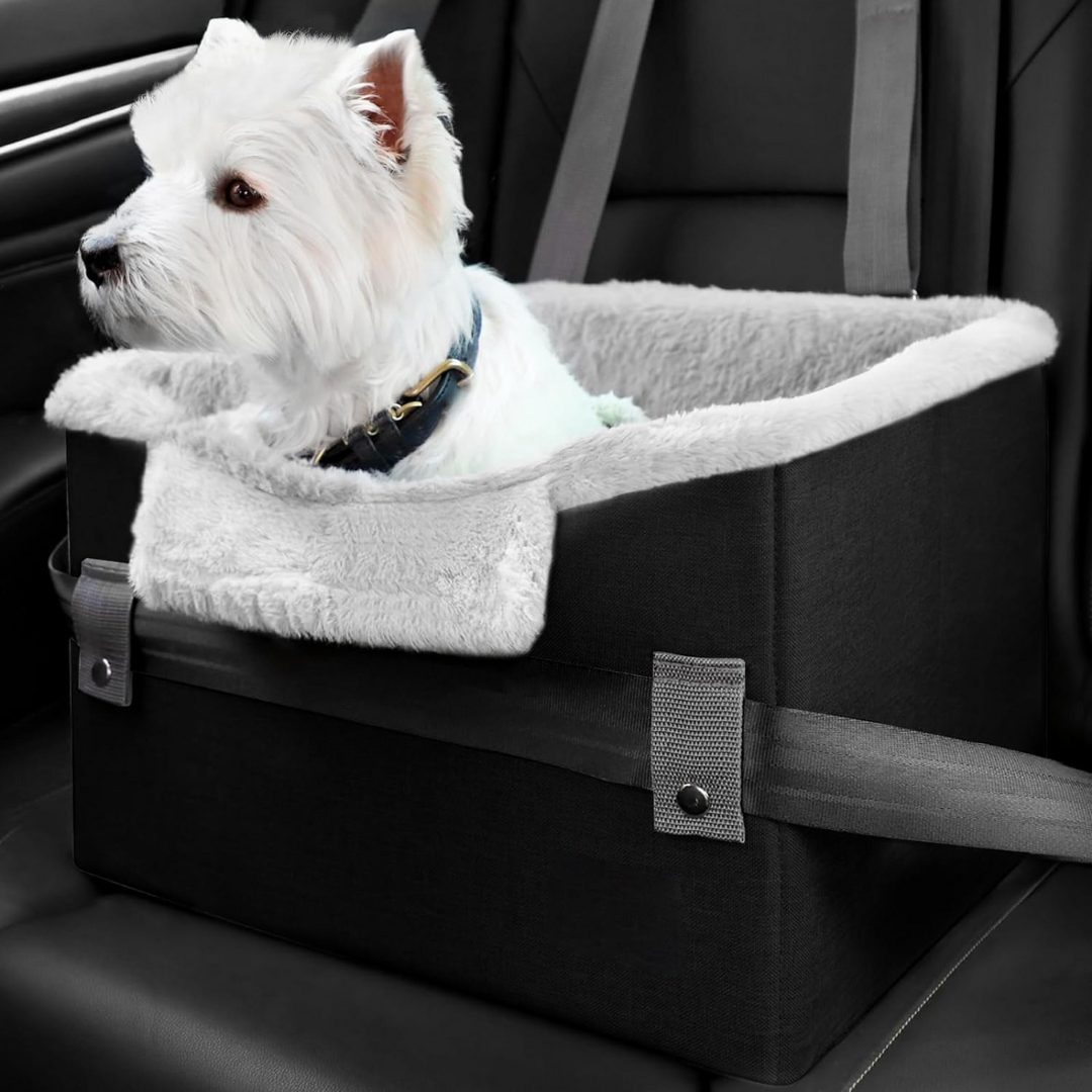Portable Pet Travel Booster Seat with Safety Leash