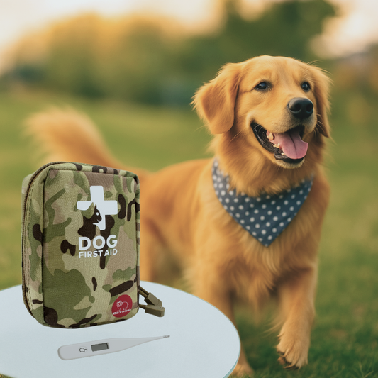 🐾 72-Piece Pet First Aid Kit for Dogs & Cats